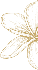 Wedding Flower decoration